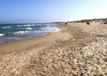 Arenales del sol elche