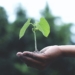 Nace HorizonteVerde, la plataforma del CSIC que busca soluciones a los retos del cambio climático