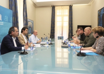 diputacion tasa turistica