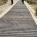 pasarela faro santa pola