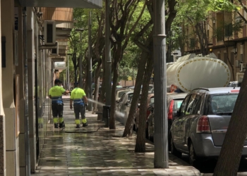 limpieza san vicente