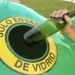 contenedor verde