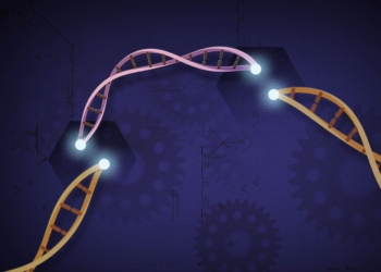 El CSIC y la UV patentan un método para detectar el virus de la covid-19 y otros patógenos mediante CRISPR