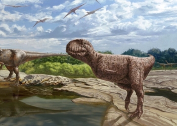 Descubierto un dinosaurio con cara de bulldog