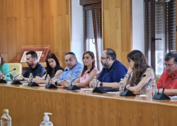 Imagen del pleno de Elda