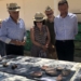 El alcalde de Elche y la rectora de la UA reivindican el potencial arqueológico de la Alcudia