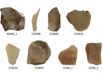 Una técnica físico-nuclear fija por primera vez el origen de sílex valencianos