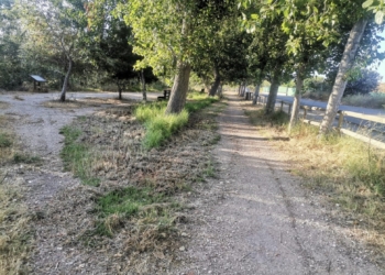 Medio Ambiente realiza labores de limpieza y desbroce en el río Algar