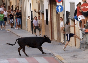 La vuelta con fuerza de los bous al carrer