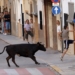 La vuelta con fuerza de los bous al carrer