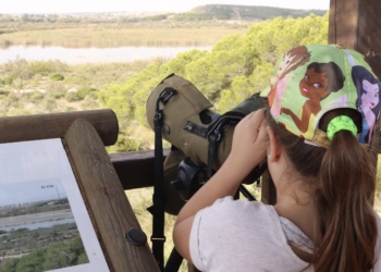 El Clot de Galvany un oasis en equilibrio entre protección a la biodiversidad y el turismo sostenible