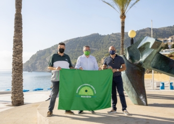 Objetivo: sumar la bandera verde