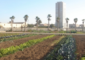 Urbanismo concede la licencia para construir 96 viviendas de alquiler asequible en Sociópolis