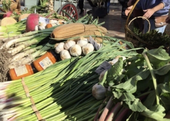 Los nuevos mercados de la huerta de València conectarán a agricultores y consumidores sin intermediarios