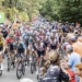 La Vuelta, un escaparate para vender los encantos de Elche en todo el mundo