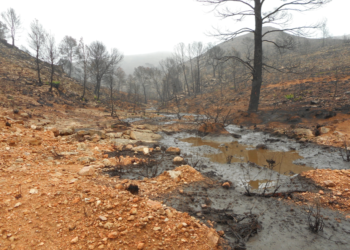 Convivir con el fuego