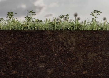 Los documentales La Caja Vacía y El pecio Bou Ferrer de la Vila Joiosa ganan los Premios DOCS Alicante del Gil-Albert