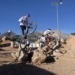 El bike trial será una nueva disciplina en nuestro complejo deportivo