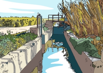 Rafal, marqueses, conservas e ilustración