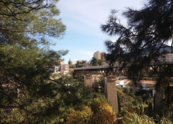 La serpiente, el río, la historia