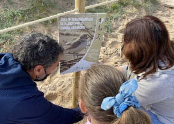 La Diputació y SEO/BirdLife ponen en marcha un proyecto para mejorar el hábitat del chorlitejo patinegro