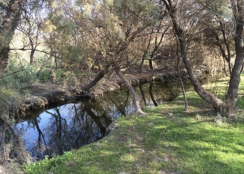 Medio Ambiente impulsa cuatro jornadas de sensibilización para la conservación y mejora del cauce del Vinalopó