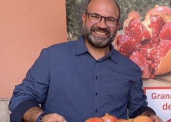 La Fireta del Camp d’Elx regresa al paseo de la Estación