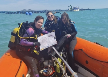 Tres proyectos de investigación de la UA financiados por la Fundación Biodiversidad contribuyen a mejorar la pesca y la acuicultura