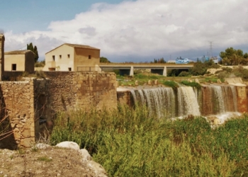 Recorrido huertano en ‘dos caballos’