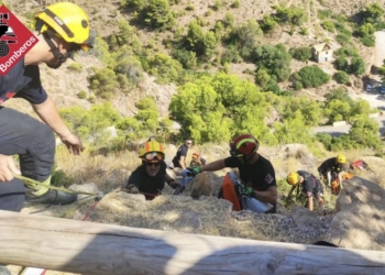 Las sillas motorizadas se convierten en un serio problema de seguridad vial