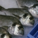 Estos son los pescados más seguros por sus bajos niveles de mercurio