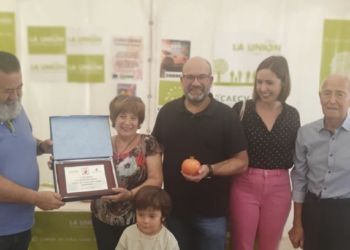 La Fireta del Camp d’Elx congrega a cerca de 30.000 personas