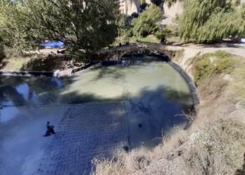 Ya se puede ver en la calle el proyecto de Soluciones Basadas en la Naturaleza