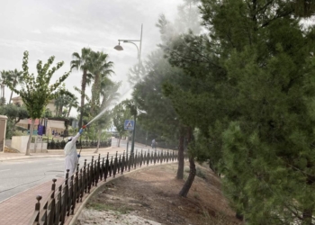 La Nucía inicia el tratamiento biológico contra la procesionaria 2022