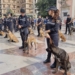 Más de un centenar de Unidades Caninas policiales y de rescate se citan en València para poner en común experiencias