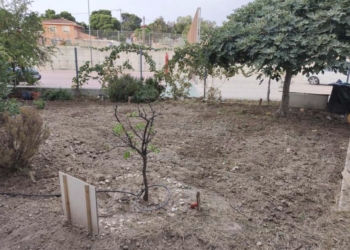 Mutxamel recibe subvenciones de la Diputación de Alicante por un valor cercano a los 68.000 euros