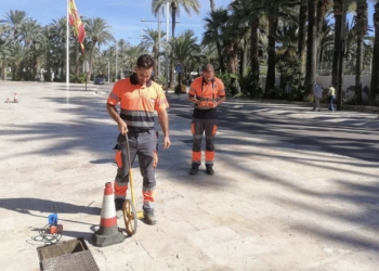 Elche aprueba el Plan de Emergencia ante situación de sequía