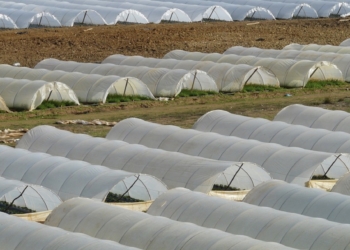 Las campañas de recogida de plásticos agrícolas suman 200 toneladas de residuos recogidos