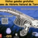 Torrevieja reabre el Museo de Historia Natural con visitas guiadas gratuitas