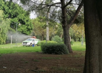 Torrevieja inicia un plan de actuación de emergencia y control para erradicar los mosquitos en todo el término municipal