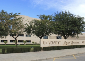 37 investigadores de la UMH se encuentran entre los más citados del mundo