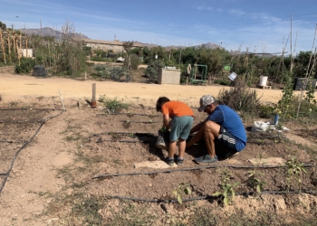 Abierta una nueva convocatoria de lista de espera para optar a las parcelas de cultivo de Laborinquen