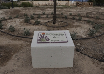 Mutxamel basa su programación contra la violencia de género en actividades vinculadas con la educación, la cultura y el medio ambiente