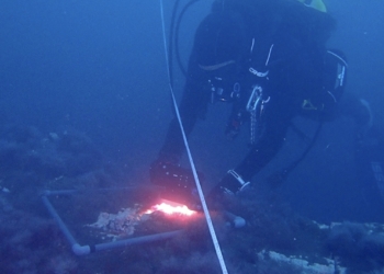 Una campaña de buceo en la colada del volcán de La Palma culmina un año de evaluación de la salud de los hábitats marinos
