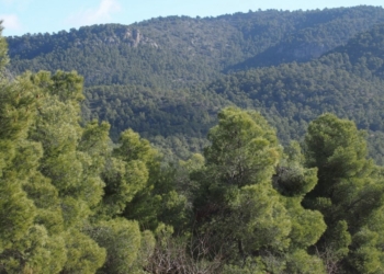 Villena abrirá contactos para proteger Sierra Salinas como Parque Natural conjunto con Murcia