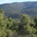 Villena abrirá contactos para proteger Sierra Salinas como Parque Natural conjunto con Murcia