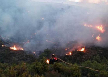 La propuesta más votada en los presupuestos participativos ha sido la colocación de cortafuegos en la sierra para evitar incendios
