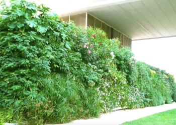Imagen del Jardín Vertical de Benidorm.