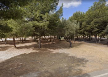 San Vicente del Raspeig potenciará la zona verde del Barrio del Tubo