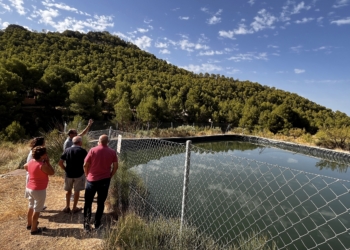 Petrer impulsa la construcción de dos nuevas balsas para luchar contra los incendios forestales